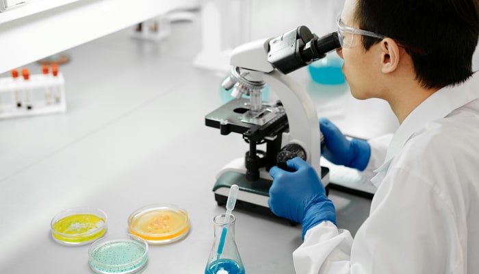 Rapid screening program for prohibited additives in food